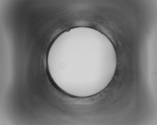 X0000111630011200908071420