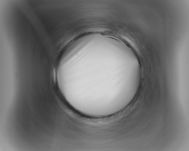 X0000111630013200908071420