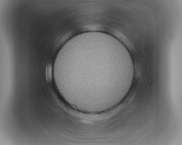 X0000111630014200908071420