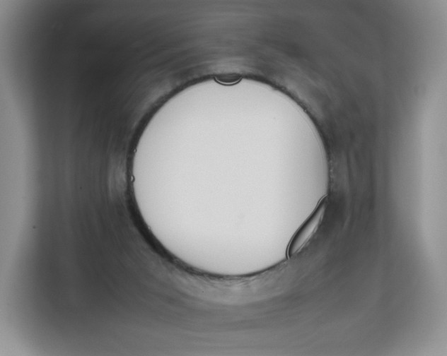 X0000111630015200908071420