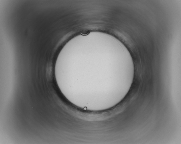 X0000111630016200908071420