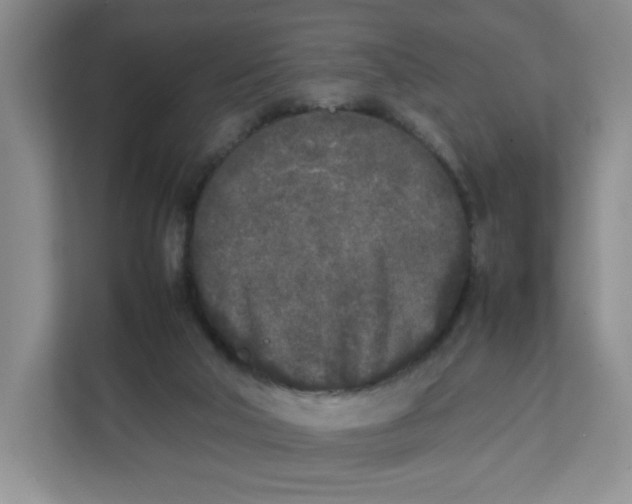 X0000111630018200908071420