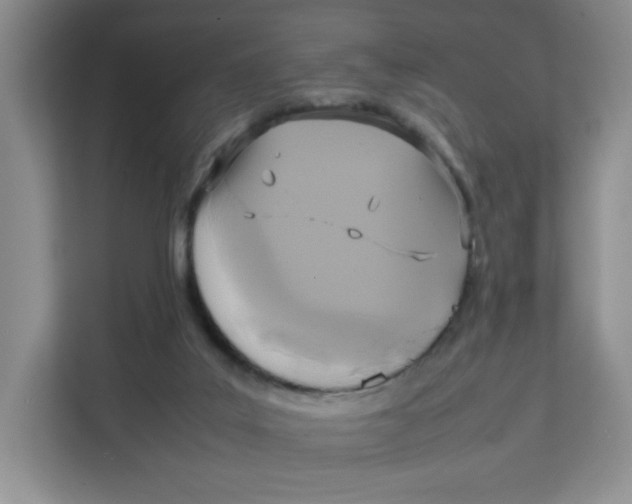 X0000111630019200908071420
