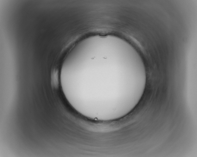 X0000111630020200908071420