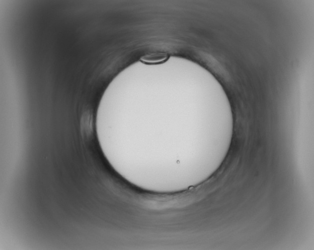 X0000111630021200908071420