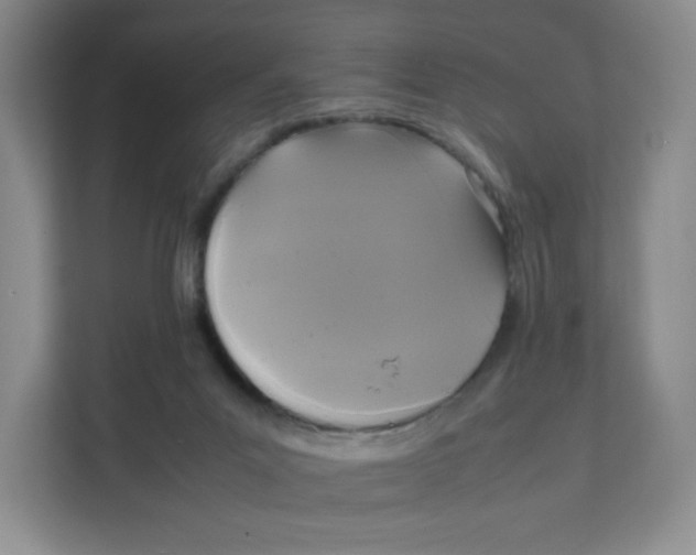 X0000111630023200908071420