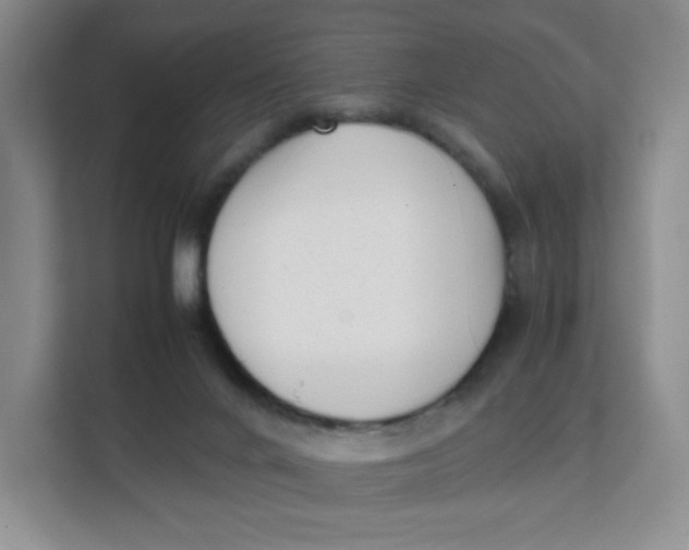 X0000111630024200908071420