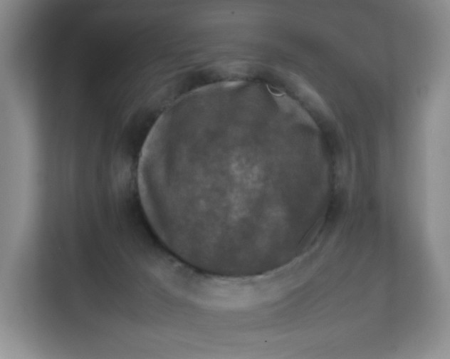 X0000111630029200908071420