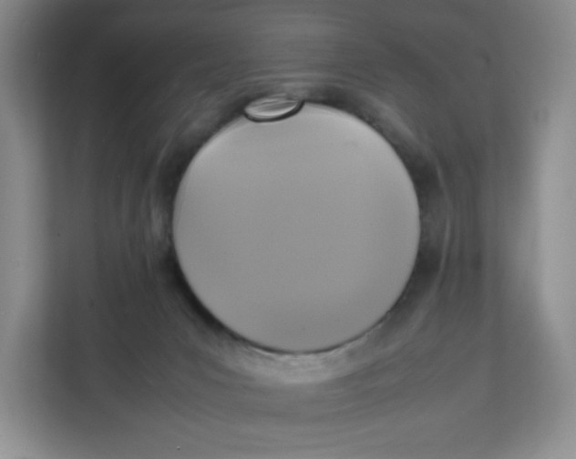 X0000111630031200908071420