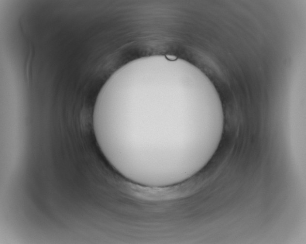 X0000111630034200908071420