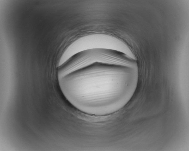 X0000111630035200908071420