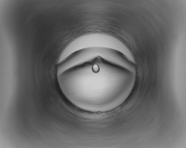 X0000111630036200908071420