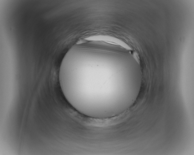 X0000111630037200908071420