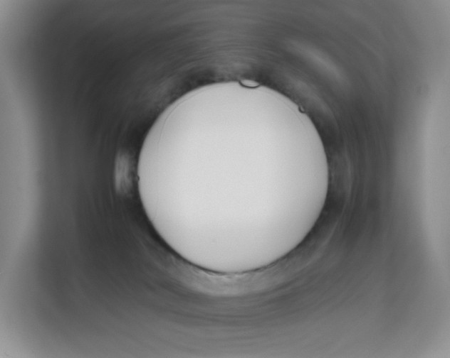 X0000111630038200908071420