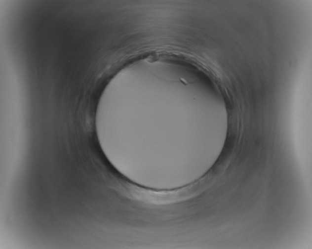 X0000111630039200908071420