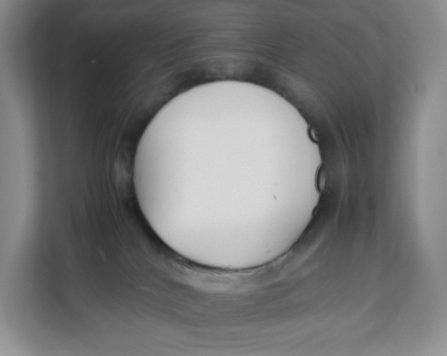 X0000111630040200908071420