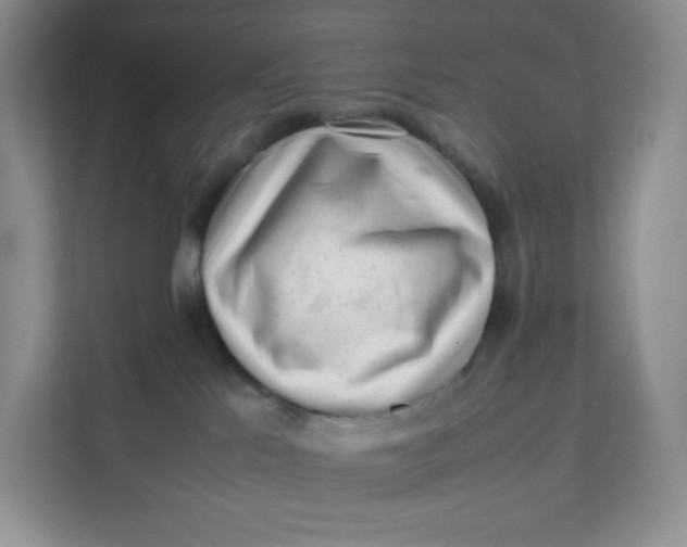 X0000111630041200908071420