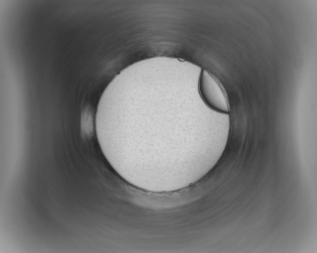 X0000111630042200908071420