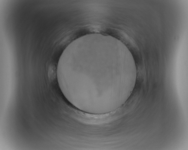 X0000111630043200908071420