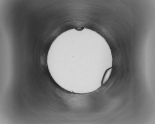 X0000111630044200908071420