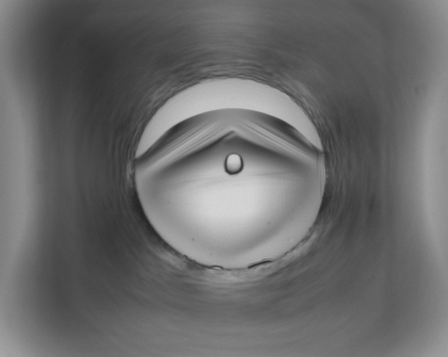 X0000111630045200908071420