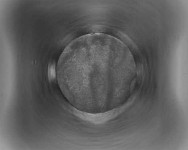 X0000111630046200908071420