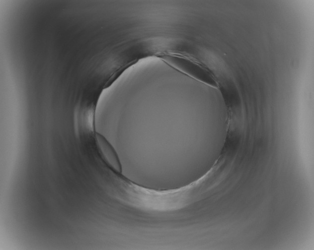 X0000111630047200908071420