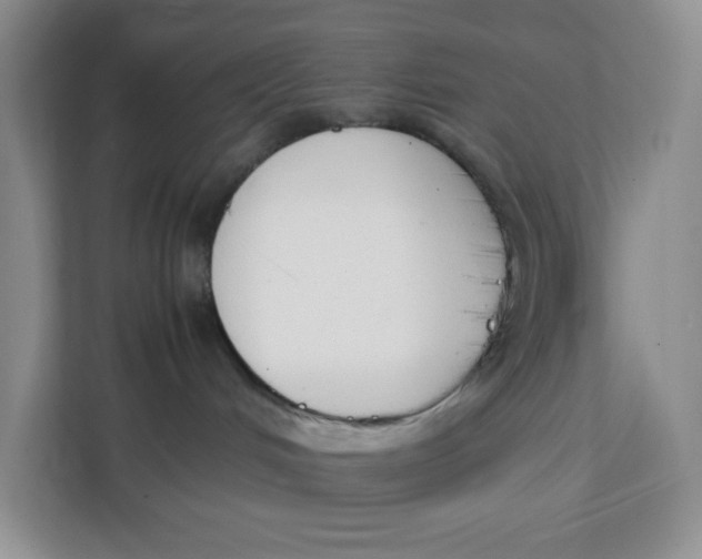 X0000111630048200908071420