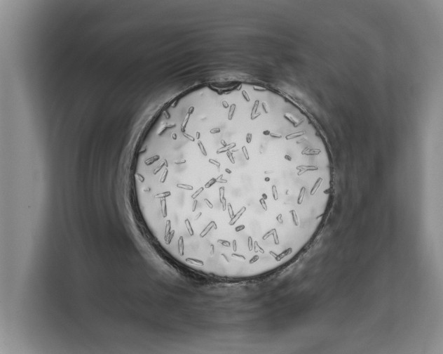 X0000111630049200908071419