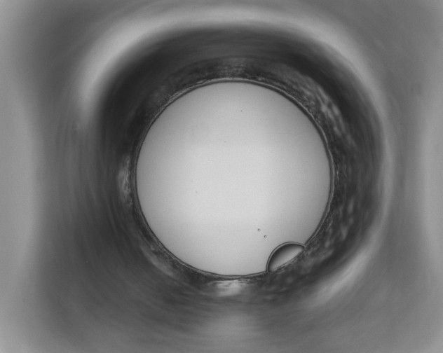 X0000111630050200908071419