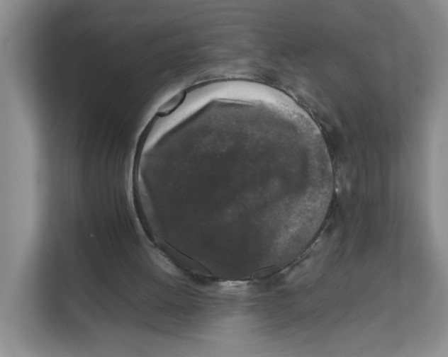 X0000111630052200908071419