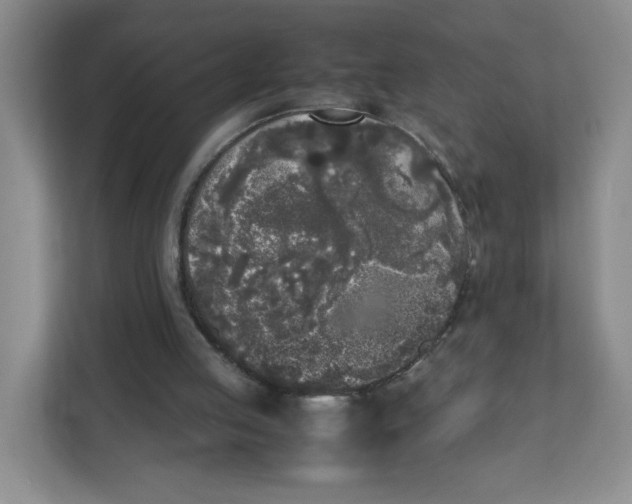 X0000111630053200908071419