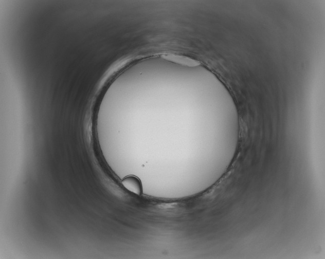 X0000111630054200908071419