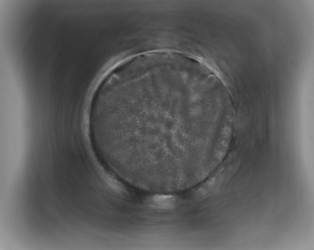 X0000111630055200908071419
