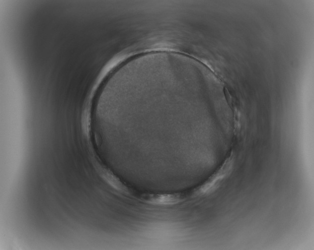 X0000111630056200908071419