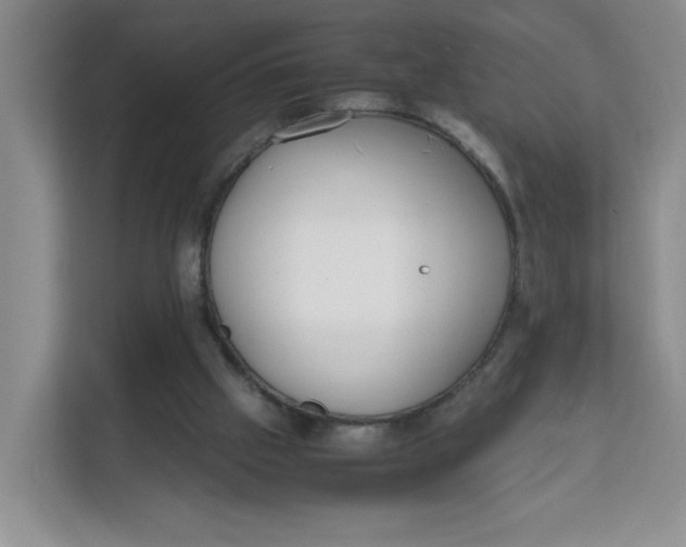 X0000111630057200908071419