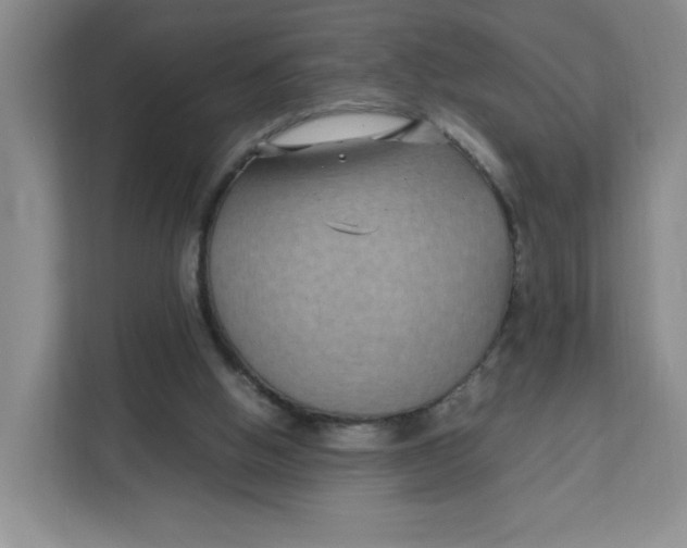 X0000111630058200908071419