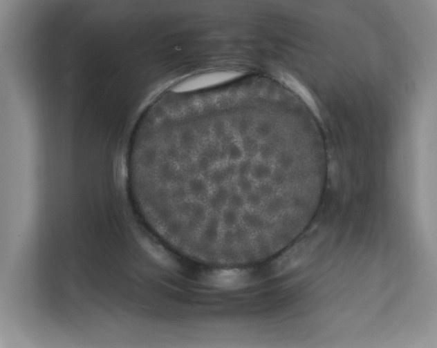 X0000111630059200908071419