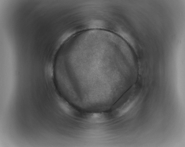 X0000111630060200908071419