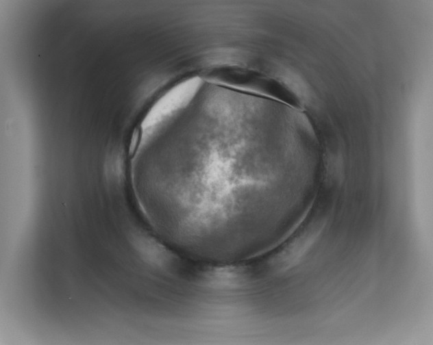 X0000111630064200908071420