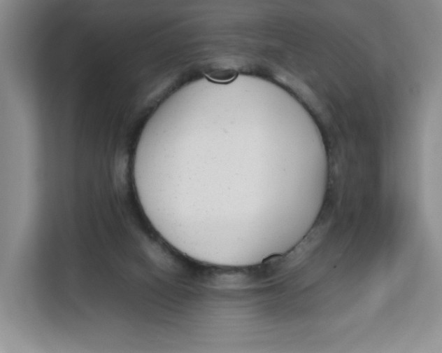 X0000111630066200908071420