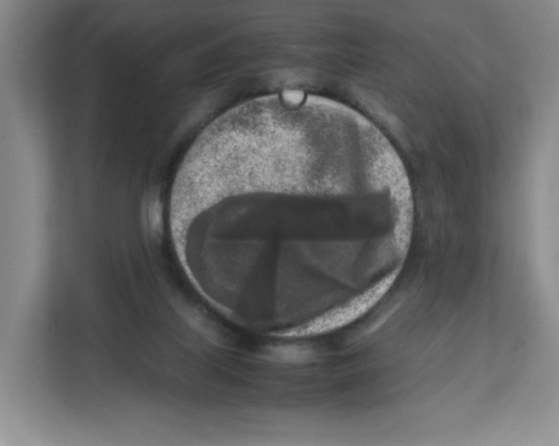 X0000111630067200908071420