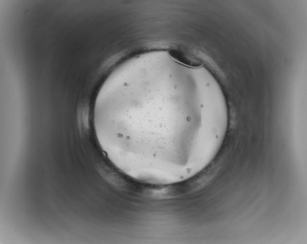X0000111630068200908071420