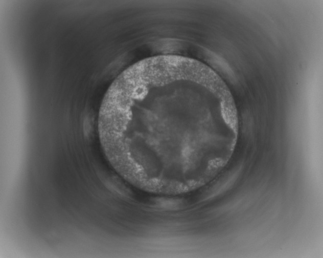 X0000111630073200908071420