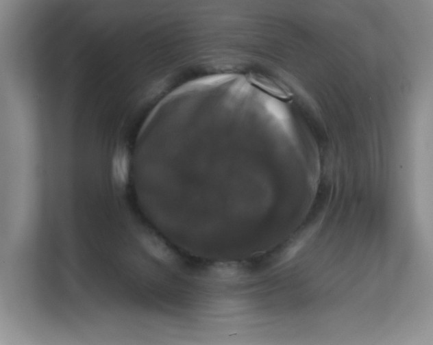X0000111630076200908071420