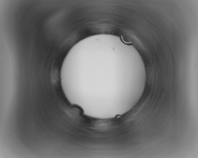 X0000111630077200908071420