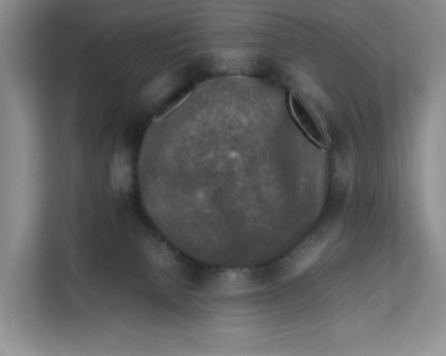 X0000111630080200908071420