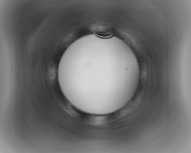 X0000111630081200908071420