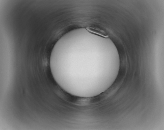 X0000111630084200908071420