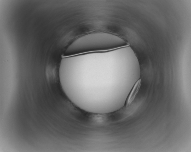 X0000111630088200908071420